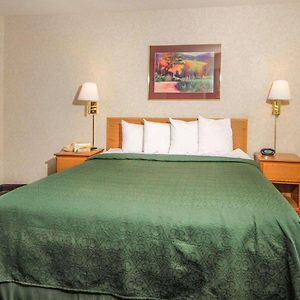 Suite mit 1 Schlafzimmer und mit Kingsize-Bett